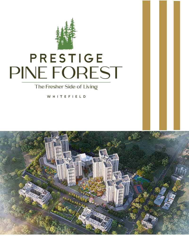 Prestige Pine Forest